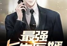 叶枫刘薇薇为主角的小说好看吗？求最强长生医婿免费试读-读书翁