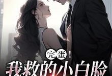 完结版《完蛋!我救的小白脸是京圈太子爷》在线免费阅读-读书翁