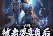 主人公叶沧澜小说空间：被老婆辜负后，我只想摆烂在线章节阅读-读书翁