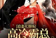 追妻火葬场：高冷霸总跪求我复合小说的免费电子版在哪里可以下载或阅读？-读书翁