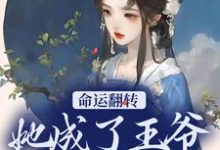 已完结小说《命运翻转，她成了王爷的小娇妻》在线章节阅读-读书翁