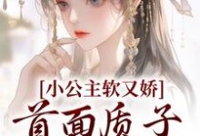 完结版《小公主软又娇,首面质子把持不住》章节阅读-读书翁