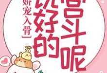 苏静翕宗政瑾小说在线章节免费阅读（娇宠入骨：说好的宫斗呢？无弹窗无删减）-读书翁