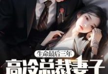 生命最后三年，高冷总裁妻子疯狂报复我！ 晏隋蒋琬，生命最后三年，高冷总裁妻子疯狂报复我！最新章节-读书翁