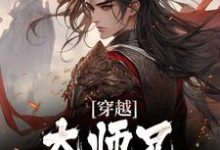 免费阅读韩枫为主角的小说,穿越:大师兄他总空耳!在线看-读书翁