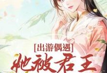 出游偶遇,她被君王强取豪夺小说,出游偶遇,她被君王强取豪夺在线阅读-读书翁