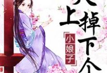 天上掉下个小娘子小说的无弹窗阅读体验,寻找免费阅读网站-读书翁