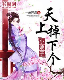 天上掉下个小娘子小说的无弹窗阅读体验，寻找免费阅读网站