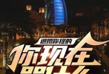 求推荐可以免费阅读退婚你提的,你现在哭什么小说的网站-读书翁