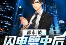 都市:被闪电劈中后我穿越了李恒,都市:被闪电劈中后我穿越了章节在线阅读-读书翁