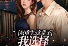 《双重生:这辈子,我选择深情校霸》小说章节列表免费试读,宋行敏徐骁小说在线阅读-读书翁