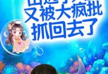 主角凤郁商沉婳小说完结版在线阅读，呜！出逃小人鱼又被大疯批抓回去了免费看-读书翁