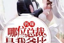 陆宁溪封呈衍景澈景忆的小说在哪里看?免费在线阅读妈咪,哪位总裁是我爸比-读书翁