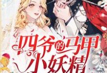 《四爷的马甲小妖精有点难搞》全集免费在线阅读(边锦段横)-读书翁