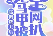 梨烟温西沉为主角的小说好看吗?求高调选夫后,她马甲被全网扒了免费试读-读书翁