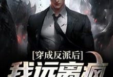 穿成反派后,我远离疯癫男女主江浩秦宛言小说免费阅读-读书翁