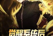 免费阅读叶礼为主角的小说,觉醒系统后,我半月就被保送在线看-读书翁