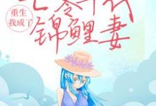 重生：我成了七零年代锦鲤妻这本小说怎么样？免费在线阅读试试-读书翁