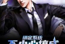 苏文是哪本书的主角?寻找绑定系统:不小心搞成五百强企业了免费阅读-读书翁