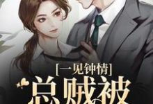 闻书砚沈知蒽为主角的小说好看吗？免费读一见钟情，总贼被戏耍了-读书翁