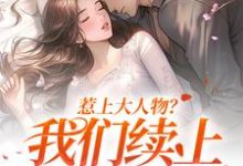 惹上大人物？我们续上两世情缘这本小说怎么样？免费在线阅读试试-读书翁