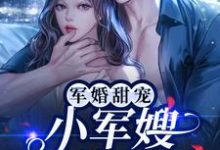 军婚甜宠：小军嫂又美又娇容景辰叶沐栖，军婚甜宠：小军嫂又美又娇小说免费阅读-读书翁
