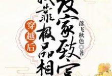 穿越后，我靠极品相公发家致富小说全文哪里可以免费看？-读书翁