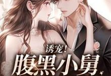 求诱宠!腹黑小舅肆意妄吻小说免费资源-读书翁