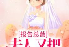 主人公叫叶舒言厉司程的小说哪里免费看-读书翁