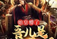 小说《始皇懵了,吾儿是经商奇才?》章节阅读-读书翁