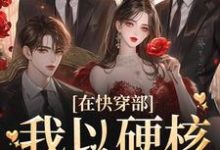 在快穿部,我以硬核管家闻名小说完结版章节免费阅读-读书翁