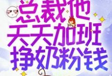 穿书后,总裁他天天加班挣奶粉钱小说的无弹窗阅读体验,寻找免费阅读网站-读书翁