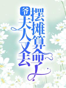 爷，夫人又去摆摊算命了 苏乔沈修瑾，爷，夫人又去摆摊算命了小说免费阅读