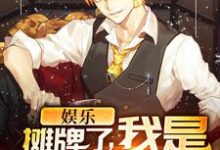 小说《娱乐：摊牌了，我是宝藏男神》章节免费阅读-读书翁