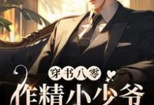 宋迟陆阎琛是哪本书的主角？穿书八零，作精小少爷赖上大反派（耽美）免费读-读书翁