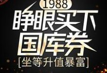 1988：睁眼买下国库券，坐等升值暴富这本小说怎么样？免费在线阅读试试-读书翁