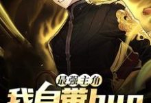 小说《最强主角：我自带bug降生游戏》章节免费阅读-读书翁