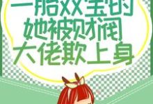 四年后,一胎双宝的她被财阀大佬欺上身小说的免费阅读版本在哪里可以找到?-读书翁