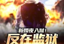 新婚夜入狱!反在监狱成大佬小说有没有完结版在线?-读书翁