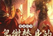 宠冠后宫:卑微替身的逆袭指南(裴璎秦峥)在线免费阅读-读书翁