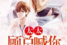 主角 戚玥顾淮小说完结版在线阅读,太太,顾总喊你生二胎免费看-读书翁