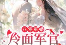 八零军婚:冷面军官甜蜜爱林青河周令也小说大结局免费试读-读书翁