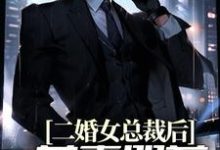 主角皮阳阳苏雪晴小说完结版在线阅读，二婚女总裁后，前妻哭着求复合免费看-读书翁