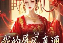 在线寻找大唐:我的屏风直通小公主寝殿小说的无删减版本-读书翁