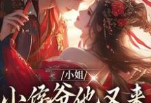 在线寻找小姐,小侯爷他又来爬墙看你了小说的无删减版本-读书翁