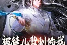 被徒儿背刺的我，走后你们哭啥？小说，被徒儿背刺的我，走后你们哭啥？章节在线阅读-读书翁