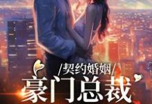 小说《契约婚姻:豪门总裁的掌上娇妻》在线章节阅读-读书翁