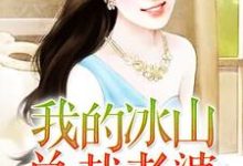我的冰山总裁老婆小说,我的冰山总裁老婆章节在线阅读-读书翁