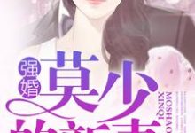 强婚：莫少的新妻沈南乔莫北丞小说在线章节免费阅读-读书翁