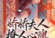 已完结小说《娇娇夫人撩人心魂，冷傲少帅拿命宠》章节在线阅读-读书翁